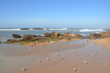 Beautiful Island fortress in front of the port of Essaouira, Morocco