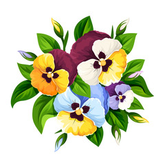 Vector bouquet of colorful pansy flowers isolated on a white background.