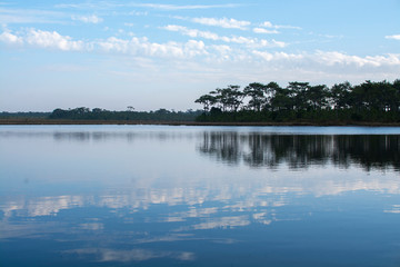 Landscape photo of lake and pine forest at Phu Kradueng National Park, Thailand