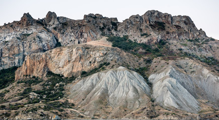 texture of a multicolored mountain with plants