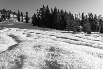 winter landscape with snow