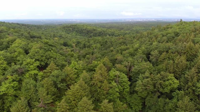 Drone footage of King Mountain Trail in Gatineau Park in 4K