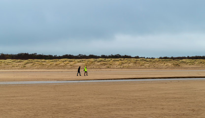 Fototapeta na wymiar Scenery at the beach on a winter day in Cadzand, Netherlands