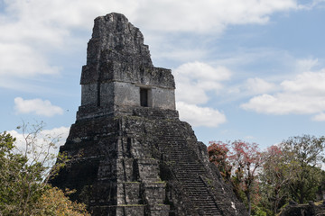 Fototapeta na wymiar Ancient mayan pyramid jaguar temle ruins Tikal close up 