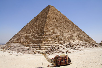 Obraz na płótnie Canvas Pyramids of Giza in Egypt
