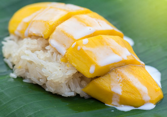 Mango sticky rice and coconut milk on leaf banana background.