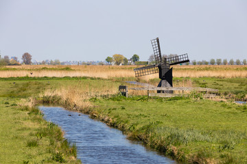 Fototapeta premium Historische Mühle in der Zaanse Schans, Niederlande