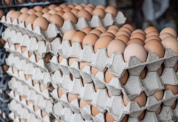Stack group of eggs in the package at the market