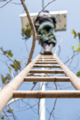 Thai young man in freestyle uniform climb bamboo wooden ladder to fix public electric light lamp. Selective focus.