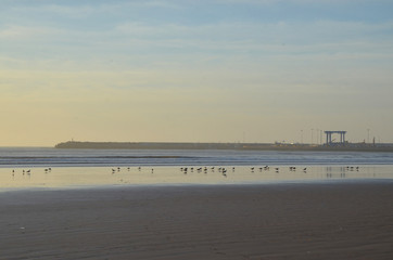 
Beautiful sunset at Essaouira, Morocco. Essaouira is a port city and resort on Morocco’s...
