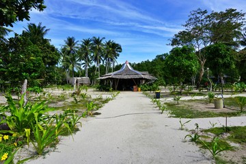 Tropical garden with wooden outdoor restaurant in Philippines