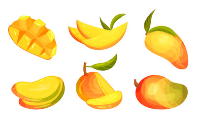 Ripe and Juicy Mango Fruit with Sweet Flesh Vector Set