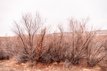 Obraz na płótnie Canvas Lake Powell Arizona Landscape