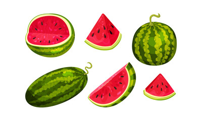 Whole and Halved Watermelon Fruit with Juicy Red Flesh and Black Seeds Inside Vector Set