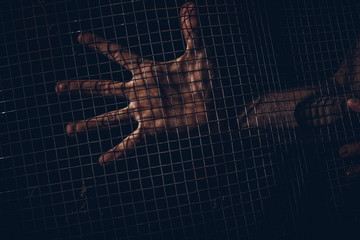 Male hand holding on chain link fence for freedom, Human Rights Day, quarantine concept. Stay at...
