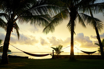Tropical beach. Hammocks on coconut palm trees.