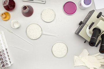 .Laboratory table with bowls with white chemical granules
