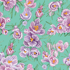 Seamless blooming crocus pattern on tiffany background