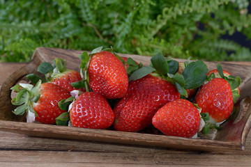 Fresh juicy and sweet strawberries close up