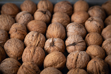 walnuts laid out on a table