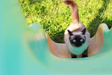 9 755 Mustiness Wall Murals Canvas Prints Stickers Wallsheaven