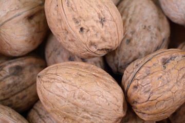 Walnuts close up isolated