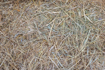 Hay texture. Hay bales are stacked in large stacks. Harvesting in agriculture.