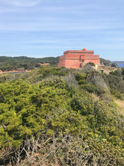 Fototapeta premium Île de Porquerolles - Fort du Grand Langoustier