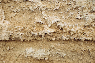 Stone wall texture. Rock in the mountains