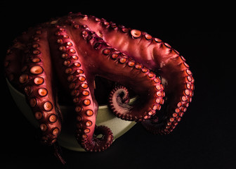  A delicious octopus prepared to be cooked in a gray bowl on a black background. Horizontal format. © JosCarlos
