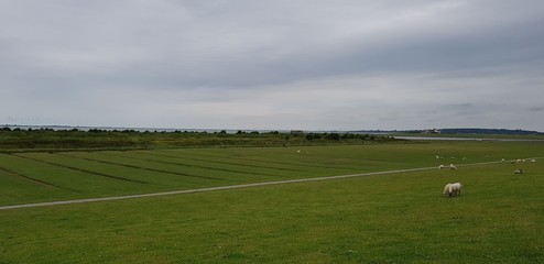 Nordsee Landschaft