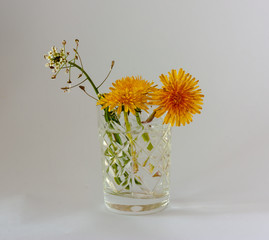 yellow flowers in a vase
