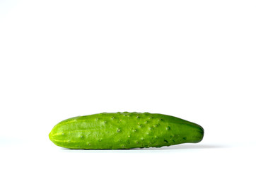 Close -up ripe cucumber isolated on white background, photo