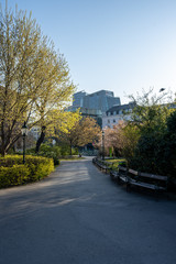 Fototapeta premium Empty streets of Vienna city center
