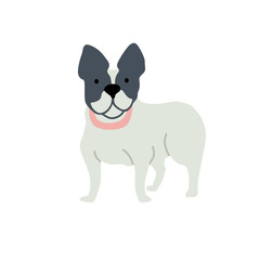 Fototapeta na wymiar French Bulldog Flat vector illustration on white background