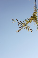 한국 인천시 남동구 소래습지생태공원 입니다