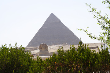 
Pyramids and Sphinx in Egypt - obrazy, fototapety, plakaty