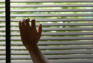 Watch the nature through the blinds. Peep through the curtain due to Coronavirus home quarantine.
