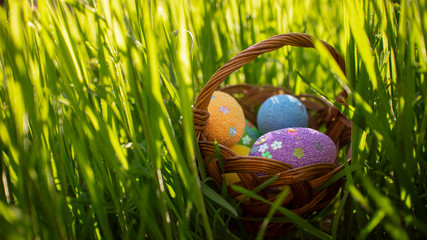 Happy easter. Colorful  Easter eggs hidden in the green grass. Easter egg hunt for kids. Spring Hollidays. 