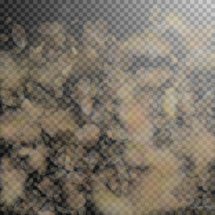 Yellow orange flower petals falling down. Perfect 