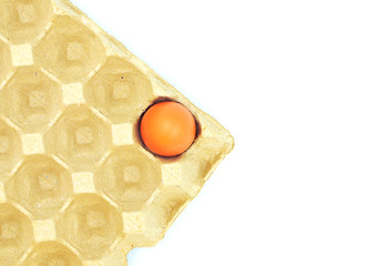 The raw chicken eggs on white background