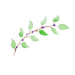 branch with green leaves