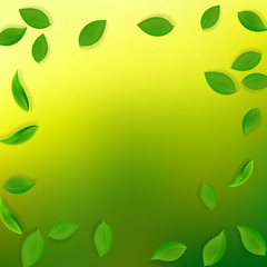 Falling green leaves. Fresh tea neat leaves flying