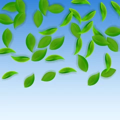 Foto op Plexiglas Falling green leaves. Fresh tea neat leaves flying © Begin Again