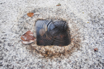 Movement of water waves inside a stone in the countryside
