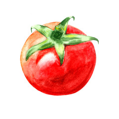 watercolor red juicy ripe tomato