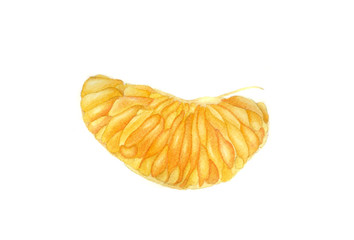 Orange, fruit. Watercolor Illustration. Botanical realistic. Can be used as invitations, postcards, textile design, patterns, prints for kids or kitchen. Healthy Organic Diet.