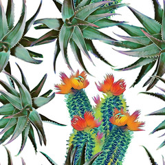 Cactus floral bouquet with aloe vera, seamless pattern.