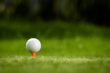 Golf balls and golf club on green grass