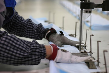 Surgical mask makers are using cutters to cut the masks' raw materials to ensure supplies to protect medical workers and people.
